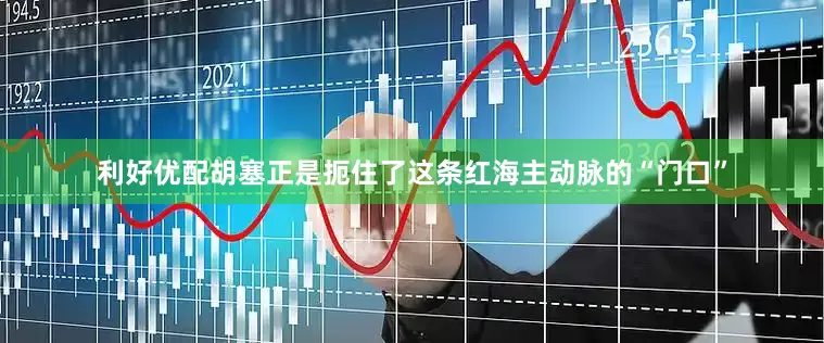 利好优配胡塞正是扼住了这条红海主动脉的“门口”