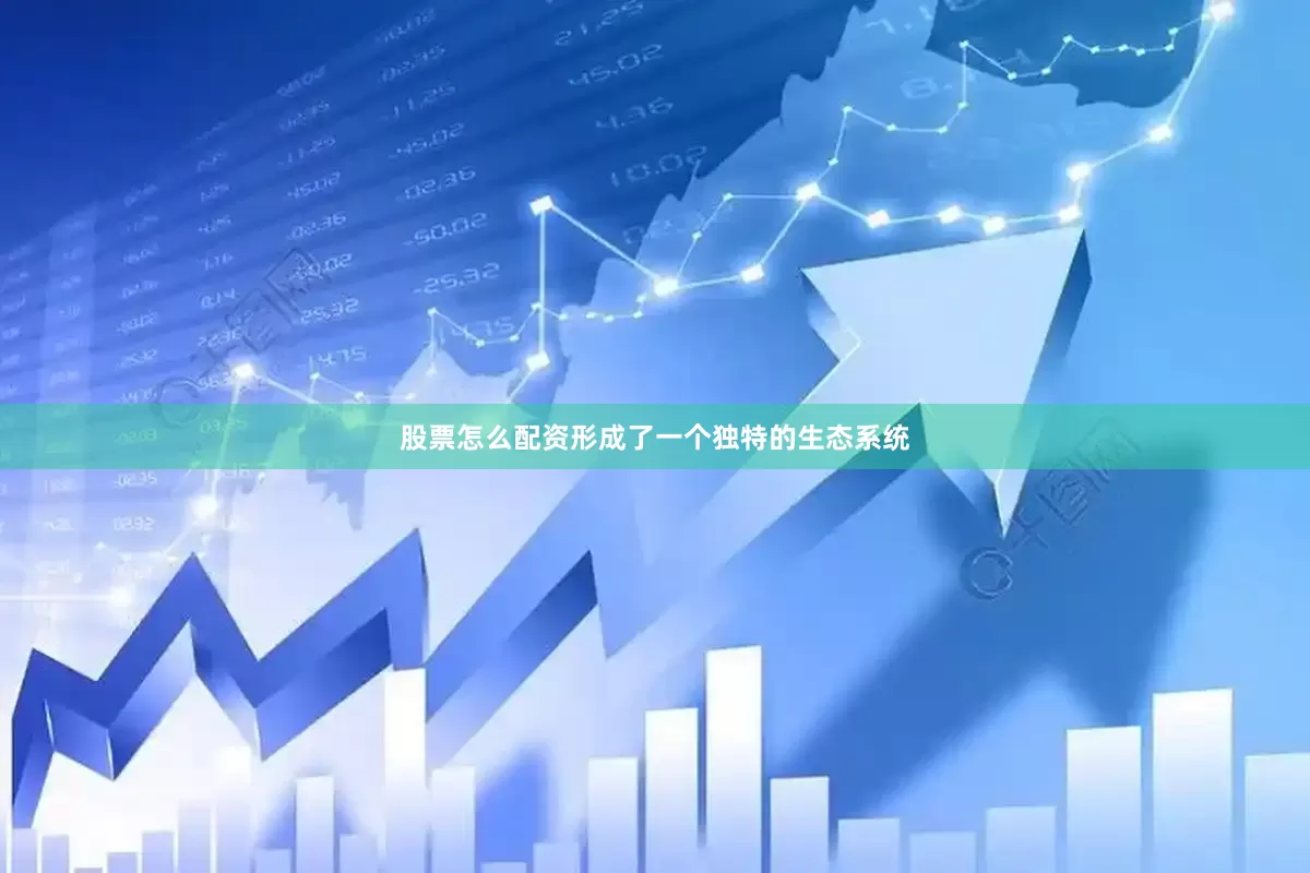 股票怎么配资形成了一个独特的生态系统