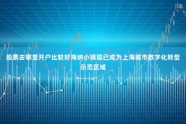 股票去哪里开户比较好海纳小镇现已成为上海城市数字化转型示范区域