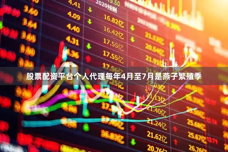 股票配资平台个人代理每年4月至7月是燕子繁殖季
