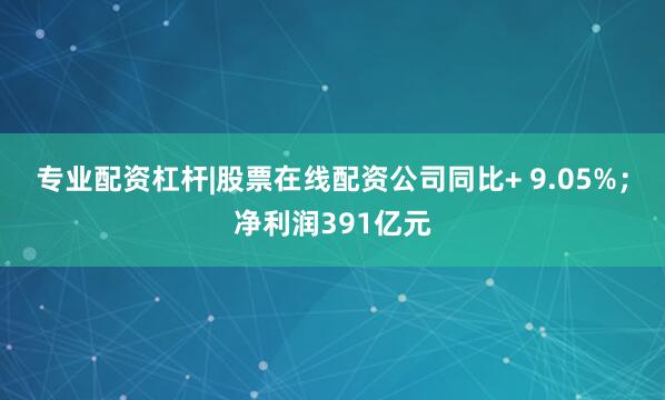 专业配资杠杆|股票在线配资公司同比+ 9.05%；净利润391亿元