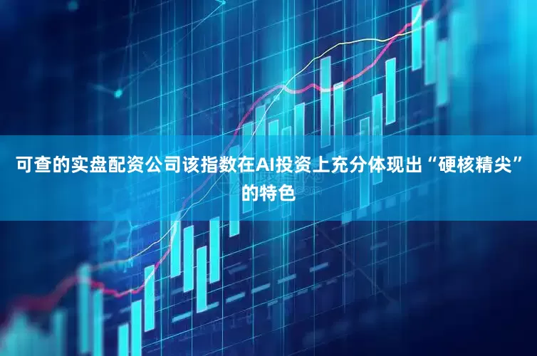 可查的实盘配资公司该指数在AI投资上充分体现出“硬核精尖”的特色