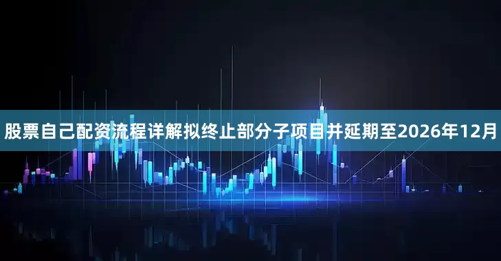 股票自己配资流程详解拟终止部分子项目并延期至2026年12月
