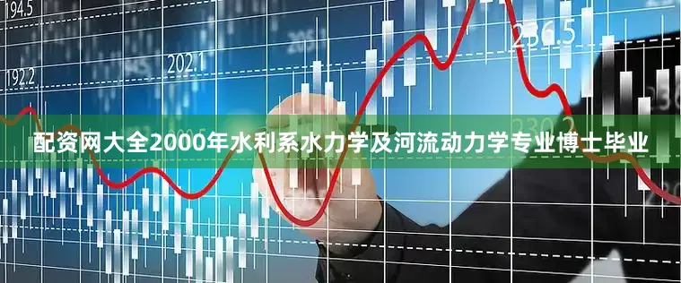配资网大全2000年水利系水力学及河流动力学专业博士毕业