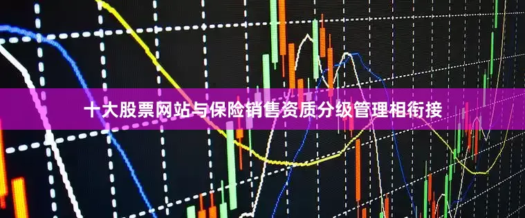 十大股票网站与保险销售资质分级管理相衔接