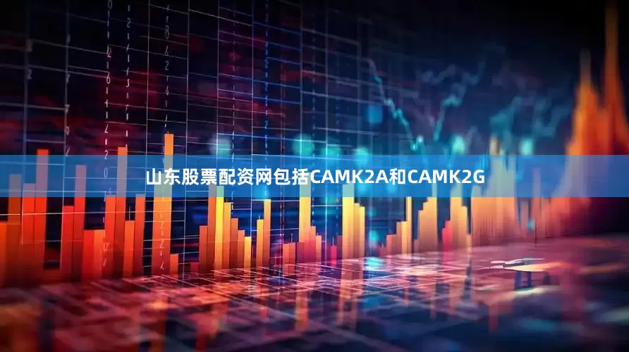 山东股票配资网包括CAMK2A和CAMK2G